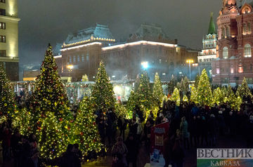 Жители Нальчика должны попрощаться с новогодними елками за три дня