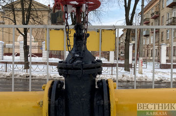 Узбекистан из-за мороза остановил поставки газа оптовым потребителям