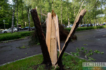 Дерево упало на автобус Тбилиси-Зугдиди