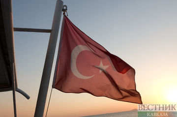 СМИ сообщили о телефонном разговоре спикеров парламентов Турции и Швеции