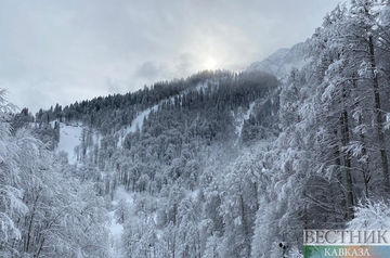 МЧС: обильные снегопады провоцируют сход лавин в горах Кавказа