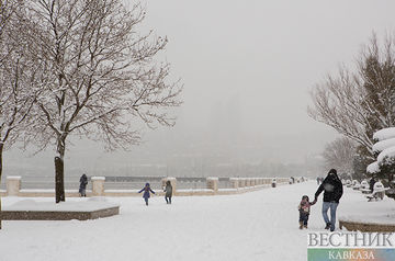 Петербург заметает снегом