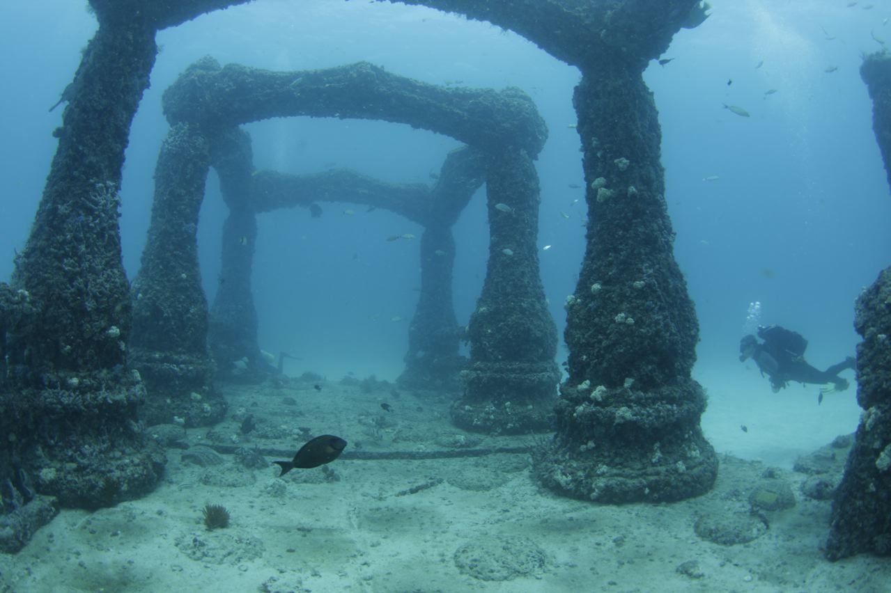 Подводное кладбище Neptune Memorial Reef