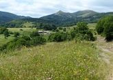 Рекордный для Грузии веревочный парк откроют в Алгети