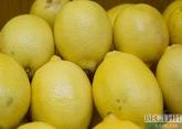 ФАС устроит проверки из-за роста цен на лимоны до 500% 