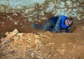 Крымские ученые идентифицировали скелеты волков из пещеры &quot;Таврида&quot; 