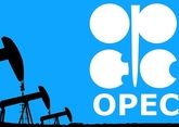 Юбилей ОПЕК: нефтяной картель на грани исчезновения