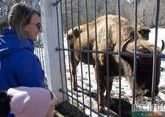 В Москве завершилось строительство Детского зоопарка