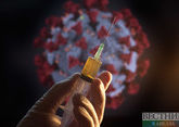 Ученые призывают исследовать теорию лабораторной утечки коронавируса