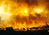 Пожар случился на границе Азербайджана и Армении