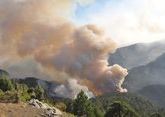 Турция почти справилась с лесными пожарами