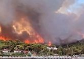 В Турции оценили сроки восстановления сгоревших лесов