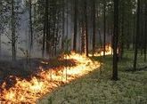 В горах азербайджанского Лерика вновь бушует пожар