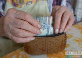 Российским пенсионерам могут выплачивать предновогоднюю 13-ю пенсию - СМИ