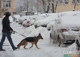 Санкт-Петербург заметет снегом