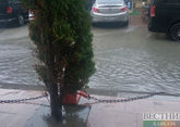 Ливни в Турции привели к наводнениям