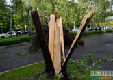Ураганный ветер обрушил дерево на дом в Ростове 