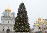 Главную новогоднюю елку страны вывезли из Кремля