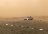 В Ташкентскую область нагрянет пыльная мгла