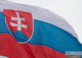 В Словакии заявили, что страна почти полностью зависит от нефти из России