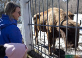 Двух мужчин задержали в зоопарке Алматы за хамское отношение к животным
