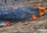 Природный пожар в Шабране потушен