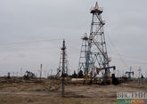 ОПЕК заинтересована в продлении нефтяной сделки с Россией