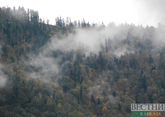 Грузинские огнеборцы справились с пожаром в Кахетии