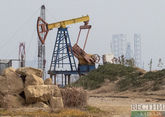 Новые месторождения нефти найдены на юго-западе Ирана