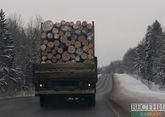 Казахстан вновь запретил вывоз дерева
