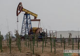 Нефтяные доходы Саудовской Аравии упали до самого низкого уровня с февраля 