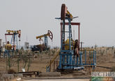 Мажилис Казахстана предложил правительству сократить экспорт сырой нефти