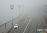 Дороги Ставрополья тонут в тумане