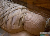 Древнеегипетские мумии приехали в Москву