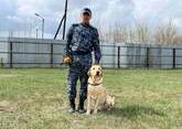 Опий в диване нашла полицейская собака в Казахстане