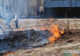 В Казахстане полыхает лесной пожар