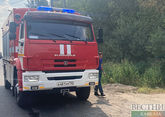 Четыре села в Казахстане спасли от лесных пожаров