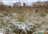 Ночной холод в Московской области побил рекорд