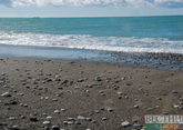 Пляжи Абхазии: проверка в Гудауте и Гагре дала плачевные результаты