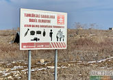 Армения должна прекратить минный террор в Азербайджане