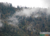 В турецкой провинции Хатай горит лес