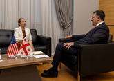 Глава МИД Грузии провел прощальные переговоры с американским послом