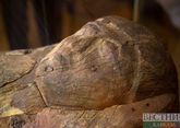 Саркофаг древнеегипесткой мумии