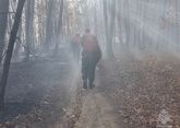 Кубанским спасателям удалось локализовать лесной пожар