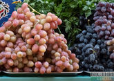 Ставрополье расширит площадь виноградников