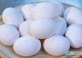 Россия получила еще две партии куриных яиц из Азербайджана