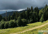 Северный Кавказ развивает экологический туризм с помощью экотроп 