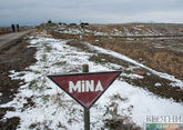 Азербайджан назвал количество обезвреженных мин на освобожденных территориях