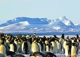 Кому принадлежит Антарктика и почему за нее развернулась борьба?