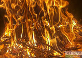 Пожар в парке Ликани в Боржоми потушен